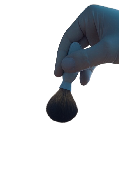 pincel